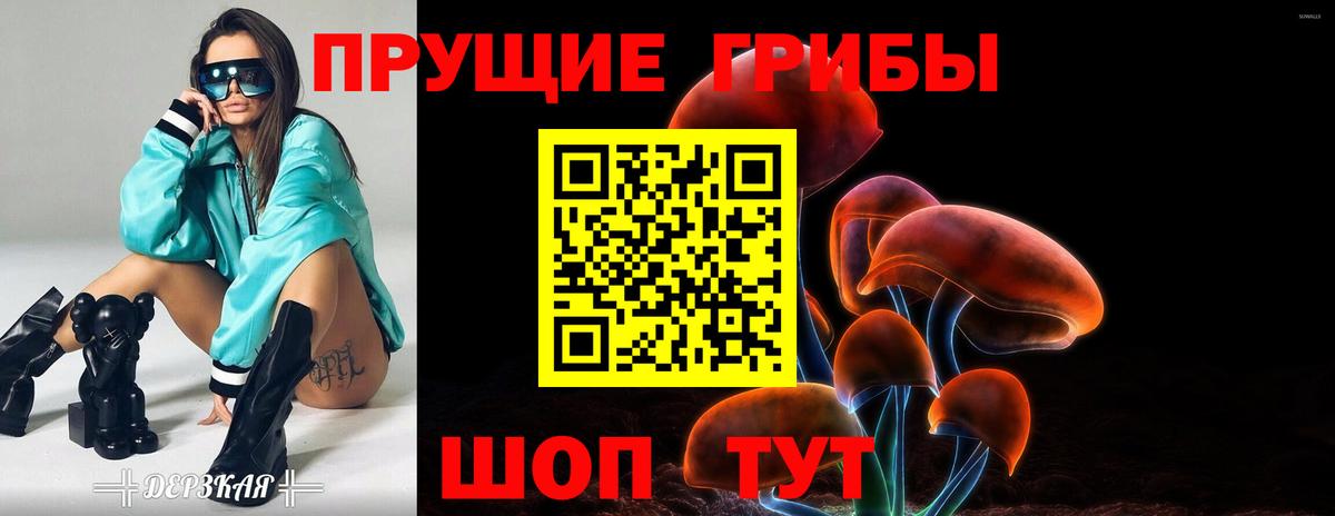 Корсаков  Галлюциногенные грибы мицелий  Вход с VPN 